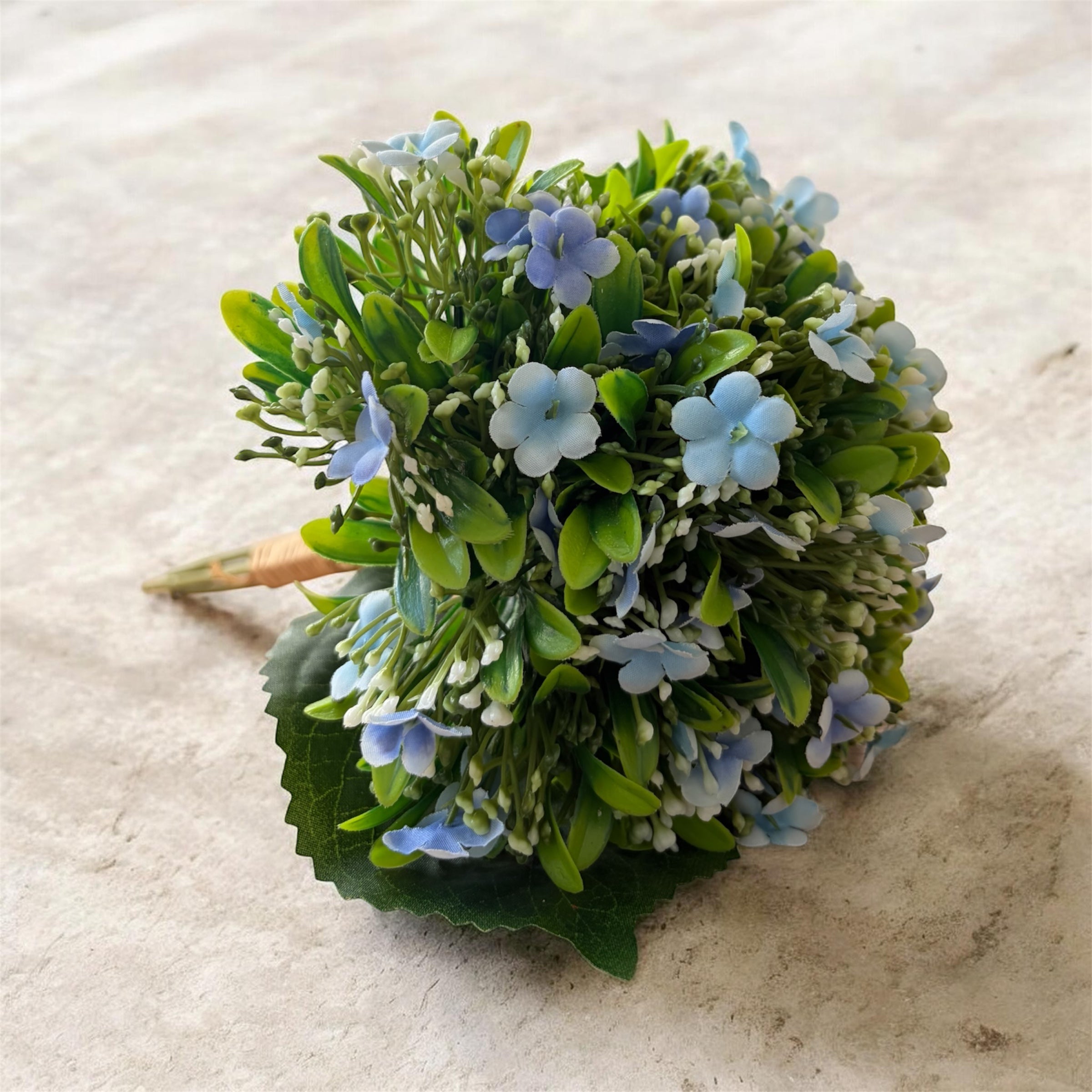 Forget-Me-Not Collection