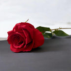 Artificial Rose Stem