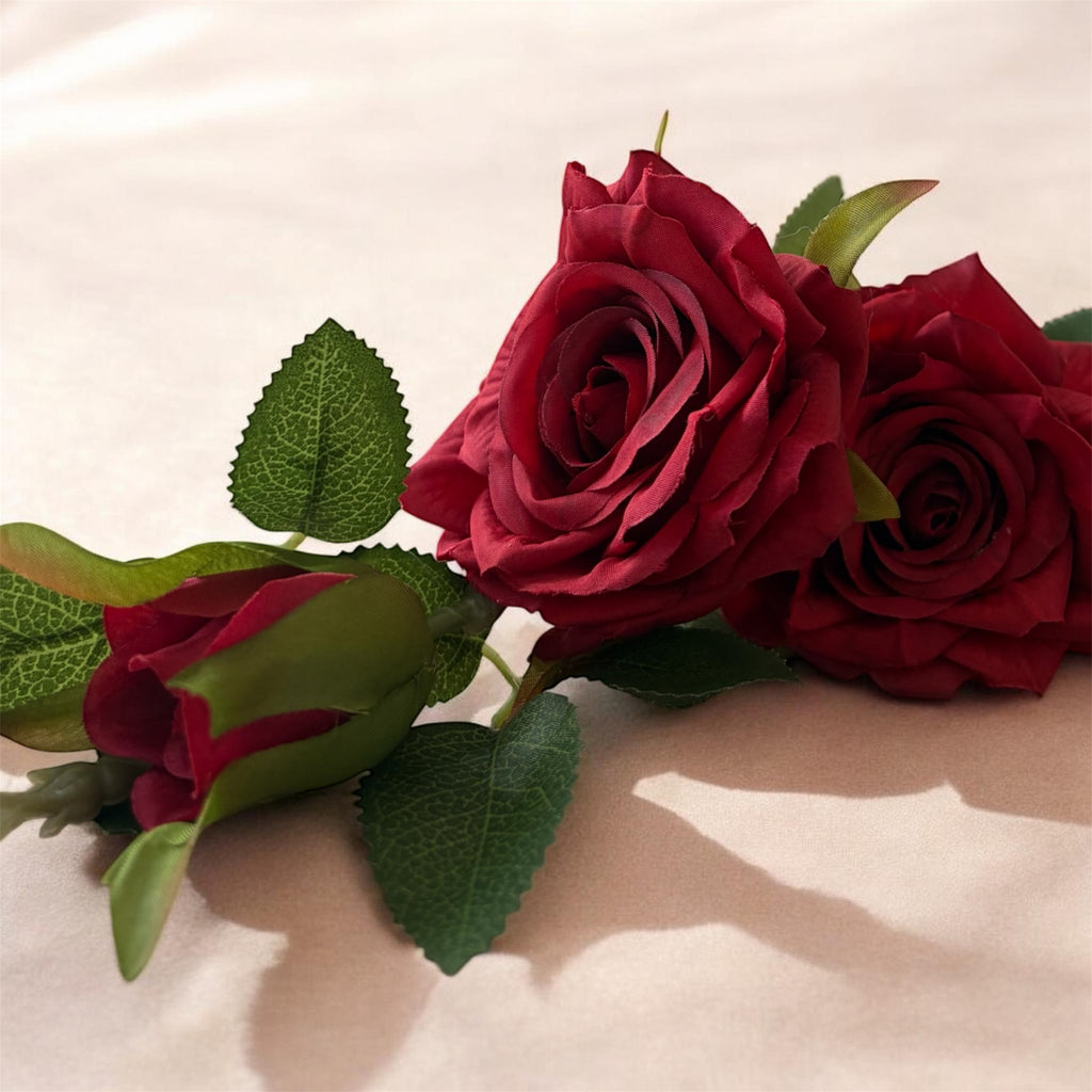 Garden Rose