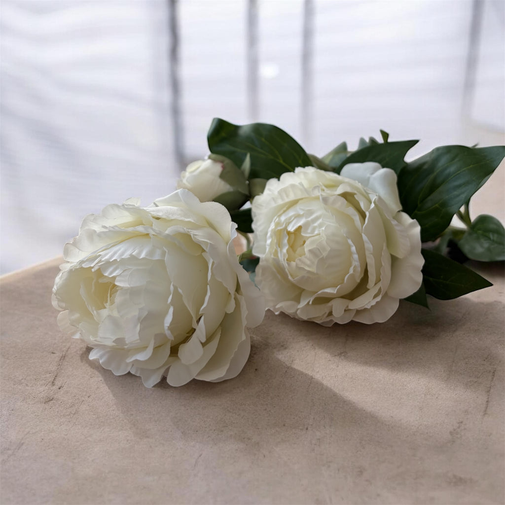 Peony