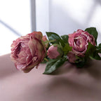 Peony