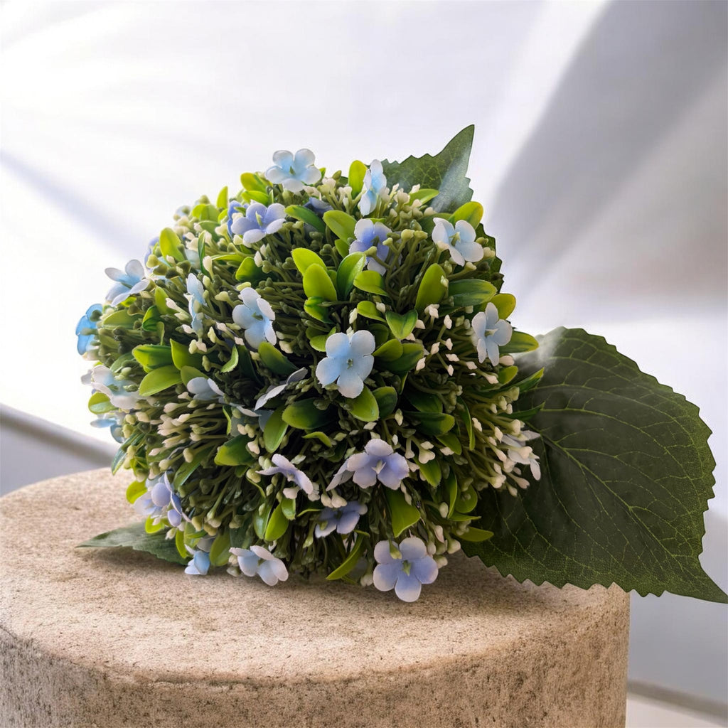 Forget me not