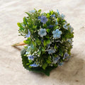 Forget me not