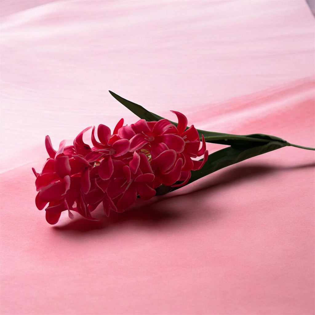Hyacinth