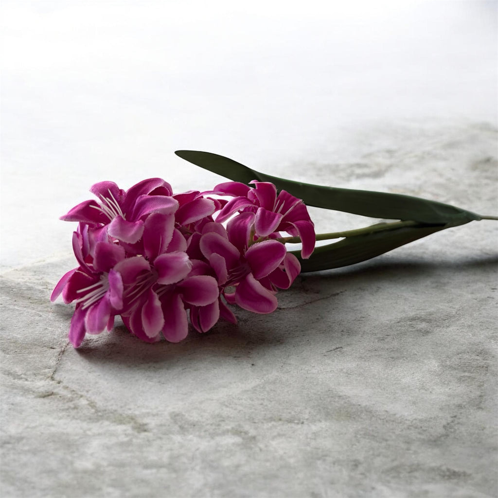 Hyacinth