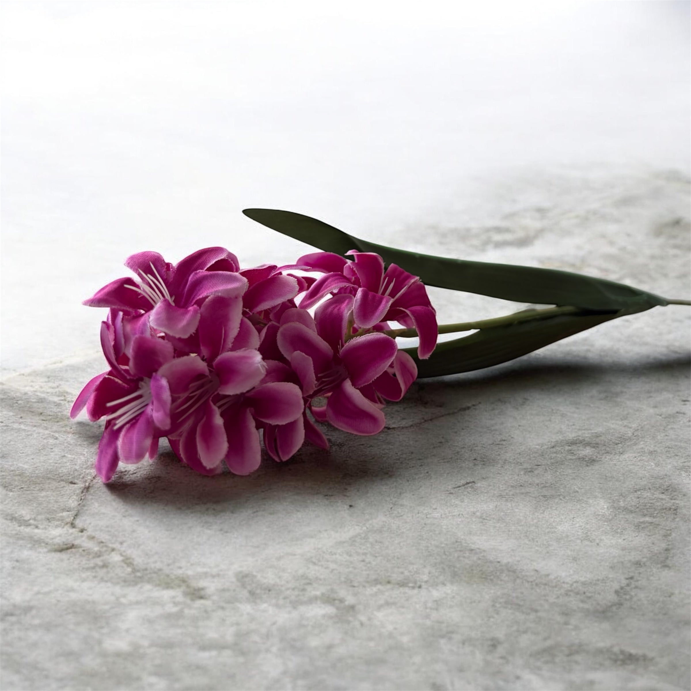 Hyacinth