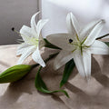 Premium Artificial White Lily Stem