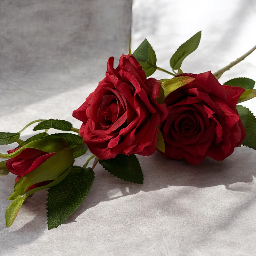 Garden Rose