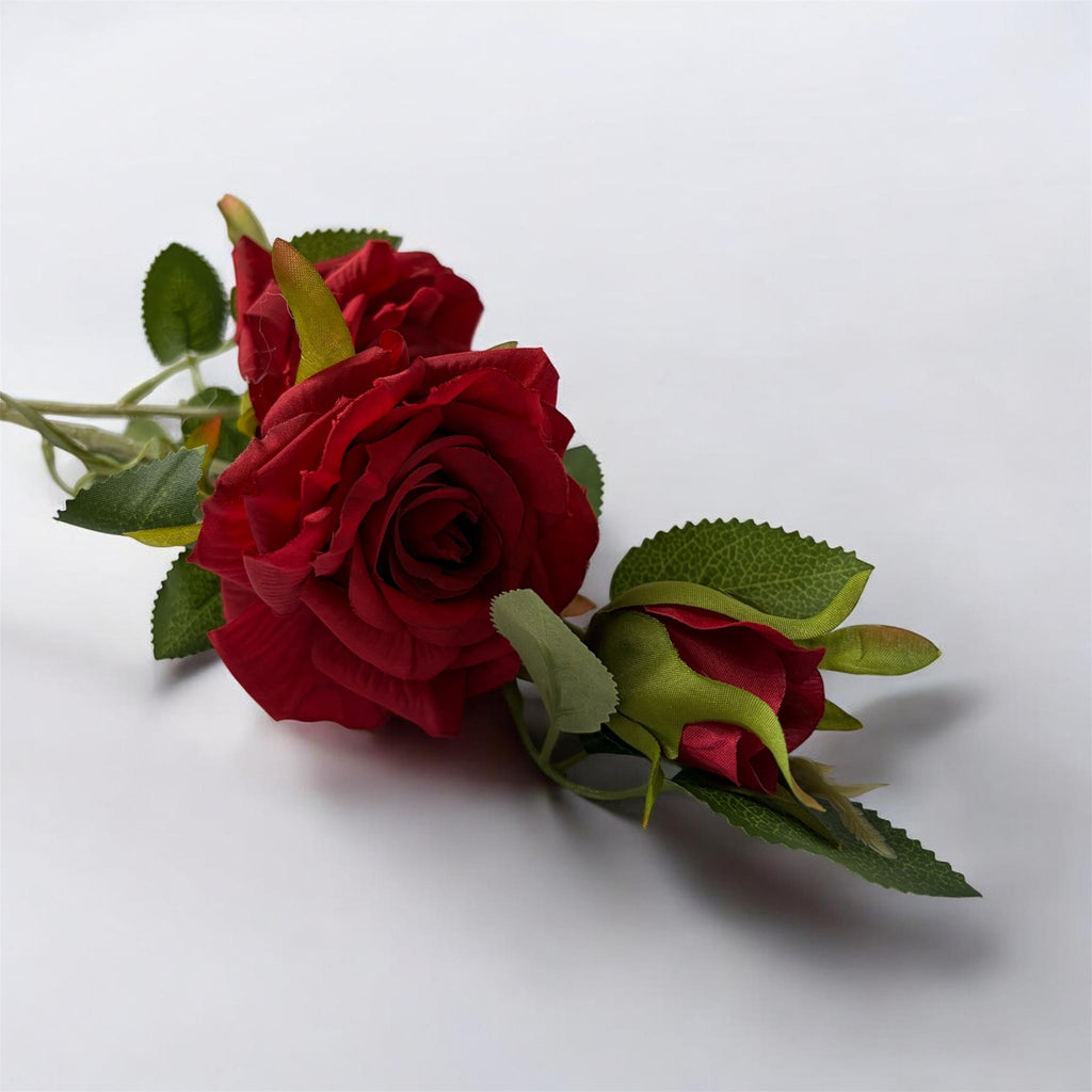 Garden Rose
